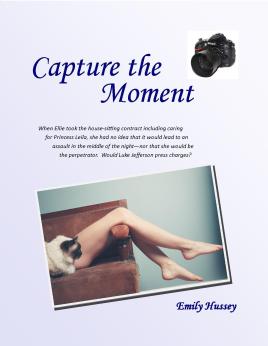 Capture the Moment Cover